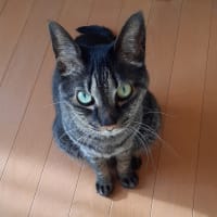 気づけば師走