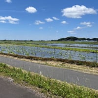 お呼びじゃないのよ、カスイチ野郎