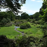 赤城自然園⑤