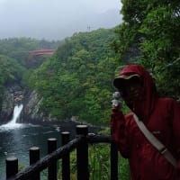 屋久島登山記　白谷雲水峡と滝めぐり