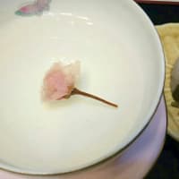 桜茶を飲みながら🌸🌸
