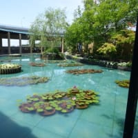 大塚国際美術館を堪能する