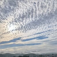 コーヒー選び