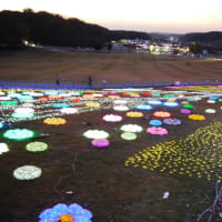 バスツアー