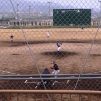 「球春到来」：西南学院大対東京大学オープン戦
