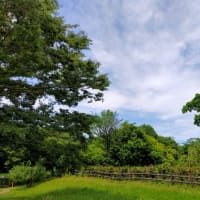【健康と生活】穏やかな日々の模索