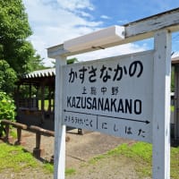 養老渓谷で森林浴