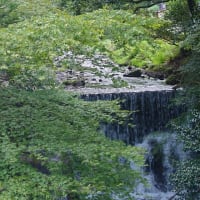 夏の京都