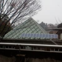 雪の日に、春夏物の展示会！