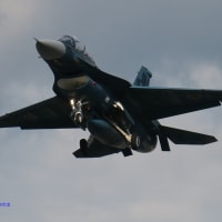 ウクライナ情勢-ロシア軍二〇二五年夏季攻勢，ポクロフスク正面攻撃失敗とスムイ州再侵攻の頓挫