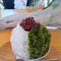 話題のかき氷