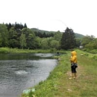 管理釣り場TOMOプレイパークさんでニジマス平均時速17尾（北海道赤井川村）