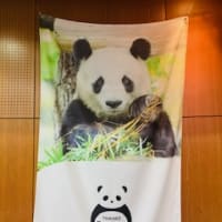 神戸市須磨区から発信！「パンダアートコンテスト IN 王子動物園」が開催されました。