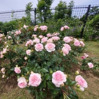 鶴見緑地公園