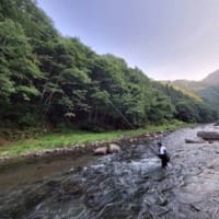 神流川「上野村」エアロドライバー85で釣る！！