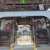 蓮の咲き具合を見に行く