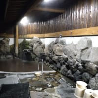 鹿教湯温泉混合泉 大江戸温泉物語 鹿教湯藤館 ★★
