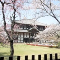 奈良へ一泊二日の旅　１