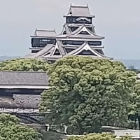 ♪　旅の４日目は、はや帰宅への道すがら。　とは言え観光用のくまもんに歓声を上げ、特別に屋上テラスから熊本城を見せていた宅