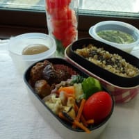 またまた2日分のお弁当と、手作りお財布２個