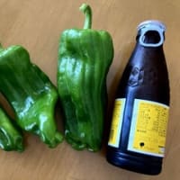 海の日の皇帝ヒョードルとかめっぱち！　海の日関係ないけどね！