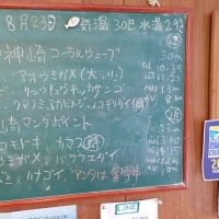 20240823ダイビングログ