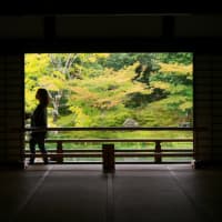 パリコレクション 85c9a468e46ff44757a26ee0739c12 