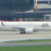 ついに開始？　B737-800NG伊丹定期便就航