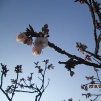 みなまで言うな！