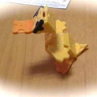 大きくなったよ　はや６歳！
