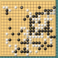 第３７期名人戦第６局～羽根直樹の碁も天ぷら蕎麦も復活～