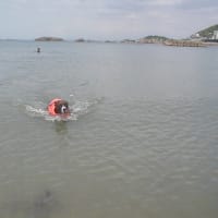 記憶違い。