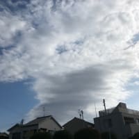 秋晴れ