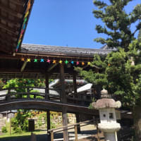 西教寺のかざぐるま展♪