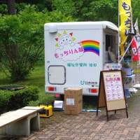 「第４０回花しょうぶ祭り」開幕