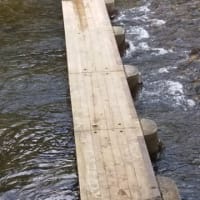 梅雨はあけましたか？