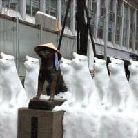 スゴイ写真見つけた！東京の大雪