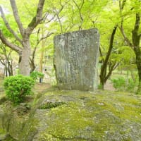 大宰府市の散策記　on　2025-4-9＆4-10　その14　宝満宮　竈門神社