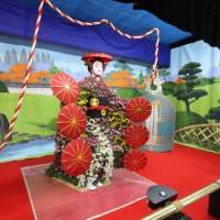 人形小路　菊まつりの記録を残します。