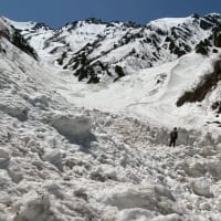 大パノラマ針ノ木岳🏔