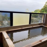 竹林庵　みずの　（網代温泉）2025年４月　同月２度目　その②