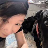🦮🐾マヨ顔半分しか映ってないな😅