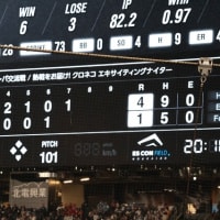 6/13ファィタ－ズ対カープ