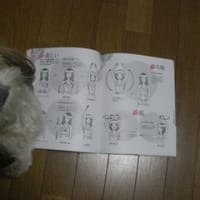 脂肪燃焼