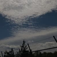 田植え