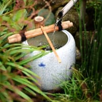 オールドレンズで遊ぼう