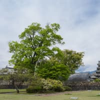 松本城と寝覚の床