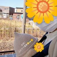 平日の母子ふたり時間🚉