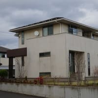 外壁の色