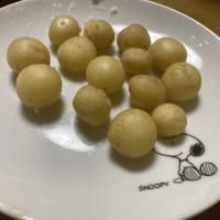 実食